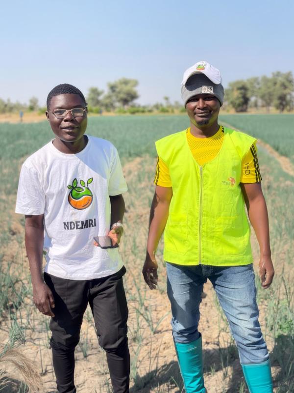 Ndemri: Artificial Intelligence Serving the Fields of the Sahel